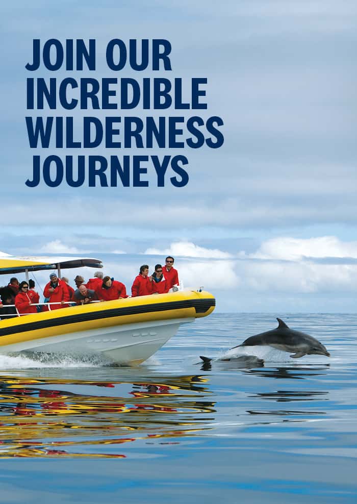 Pennicott Wilderness Journeys - Seven Incredible Wilderness Journeys